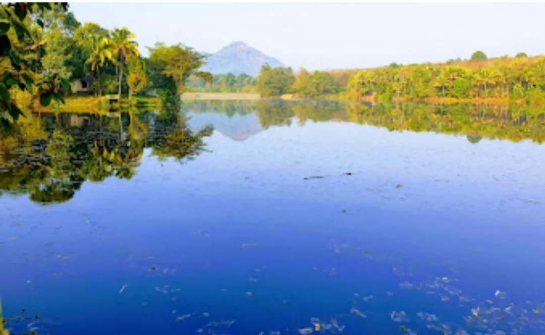 Bed and breakfast Sparrow Vale Resort Kotamangalam